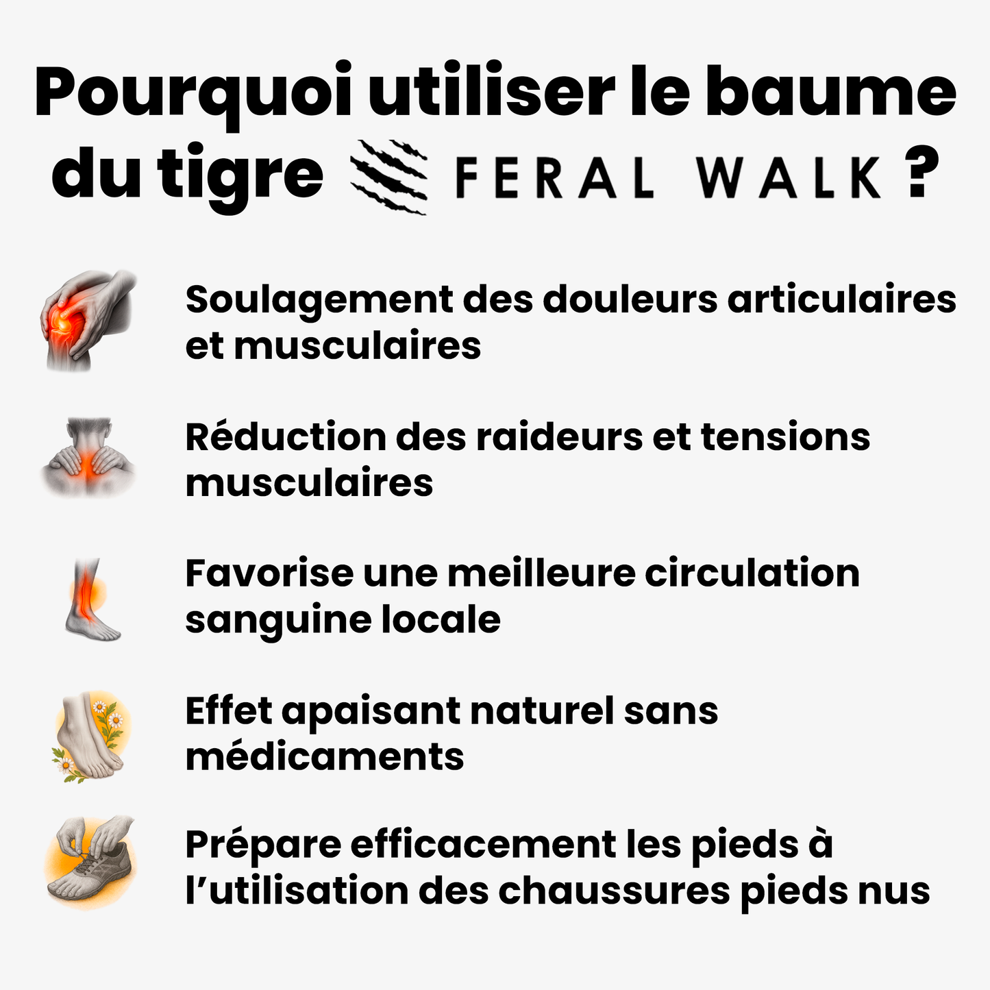 Baume du tigre Feral Walk (Lot de 10)